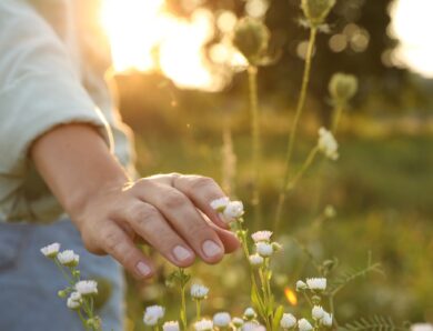 Frühling auf dem Land: schöne & einfache Date-Ideen für neue Begegnungen