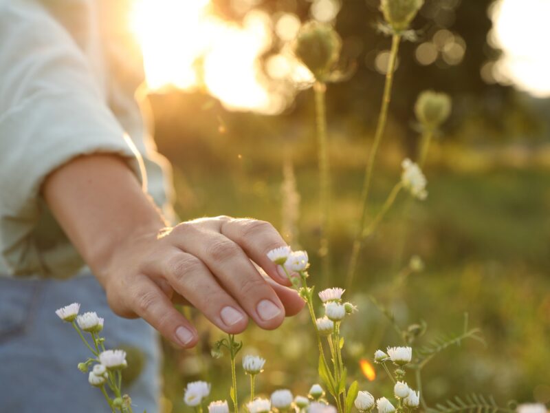 Frühling auf dem Land: schöne & einfache Date-Ideen für neue Begegnungen