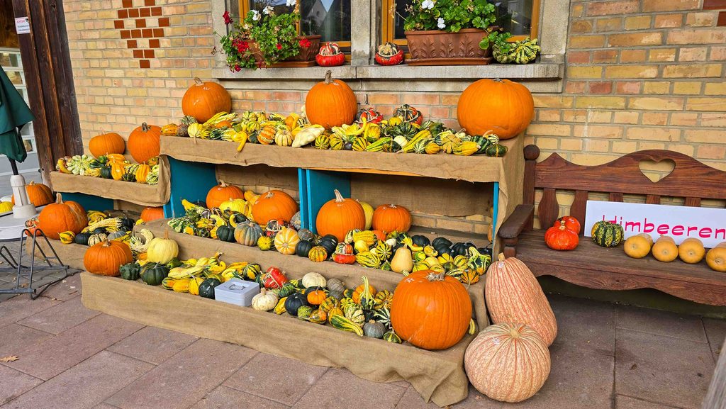 Halloween-Dates auf dem Land: 8 schaurig-schöne Ideen für romantische Momente